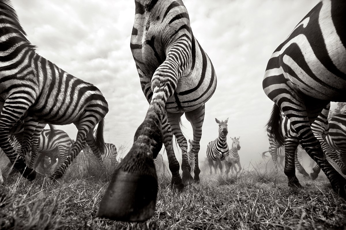 Onward