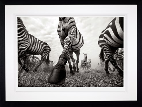Onward by Anup Shah - Framed Limited Edition on Paper
